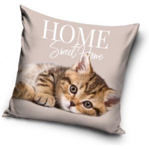 Kot poduszka Sweet Home